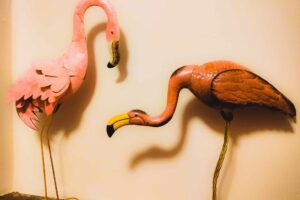 10 - Flamingos